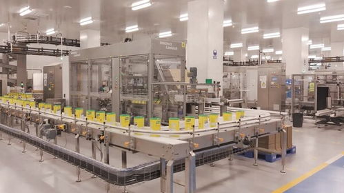 联合利华全国首个全品类食品工厂投产，智能制造与供应链协同树立新标杆